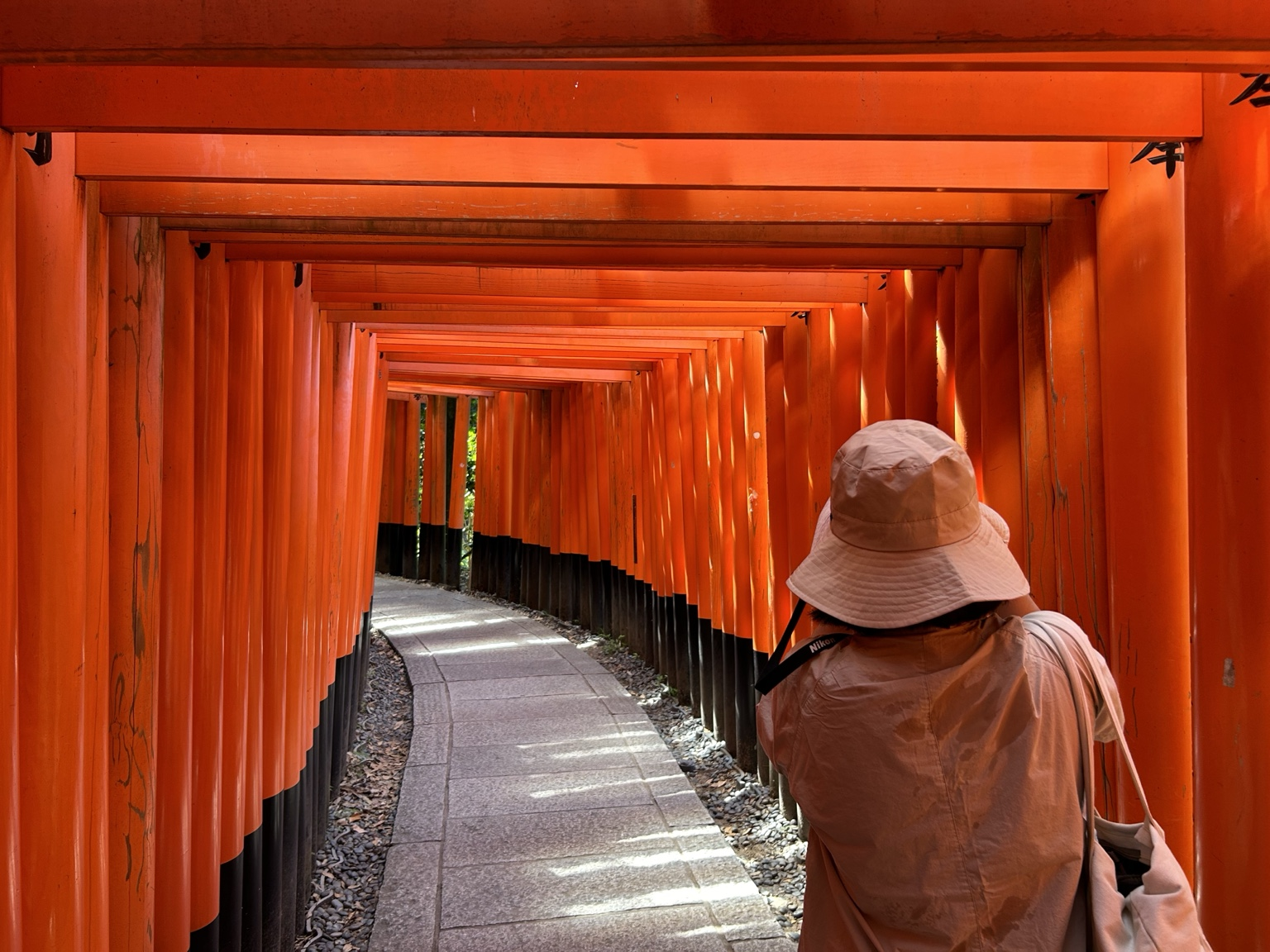 Rujie photographing a curving walkway through orange-red torii gates.